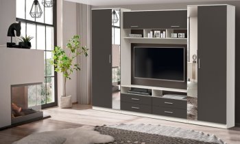 ШМЦ Вена  91.01 с зеркалом в Искитиме - mebel154.com