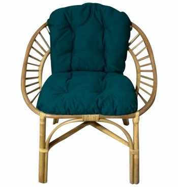 Кресло RJG-Princess (Ротанг №4, ткань JPN DRILL 034) в Искитиме - mebel154.com