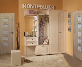 Шкаф для обуви 1 Montpellier в Искитиме - mebel154.com