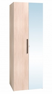 Шкаф для одежды 2-х дверный 8 Bauhaus в Искитиме - mebel154.com