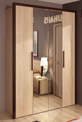 Шкаф для одежды 2-х дверный 9 Bauhaus в Искитиме - mebel154.com