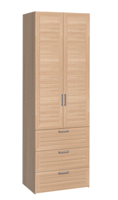 Шкаф для одежды 2-х дверный с ящ 12 Регата в Искитиме - mebel154.com