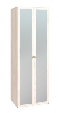 Шкаф для одежды 2-х дверный с зеркалом 54-2 Бриз в Искитиме - mebel154.com