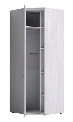 Шкаф для одежды угловой 56-2 Paola в Искитиме - mebel154.com