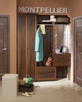 Шкаф для прихожей МЦН 2 Montpellier в Искитиме - mebel154.com