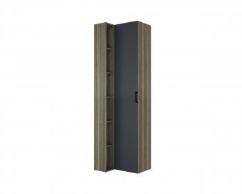 Шкаф угловой торцевой Борнео ШК-174 в Искитиме - mebel154.com